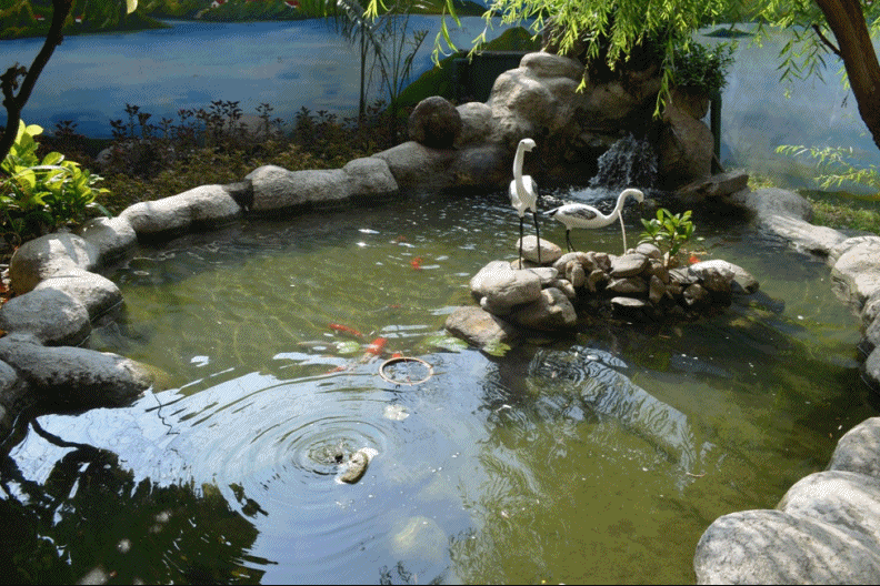 本所水池